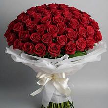 Букет 101 Красная роза Блэк Мэджик в Западный