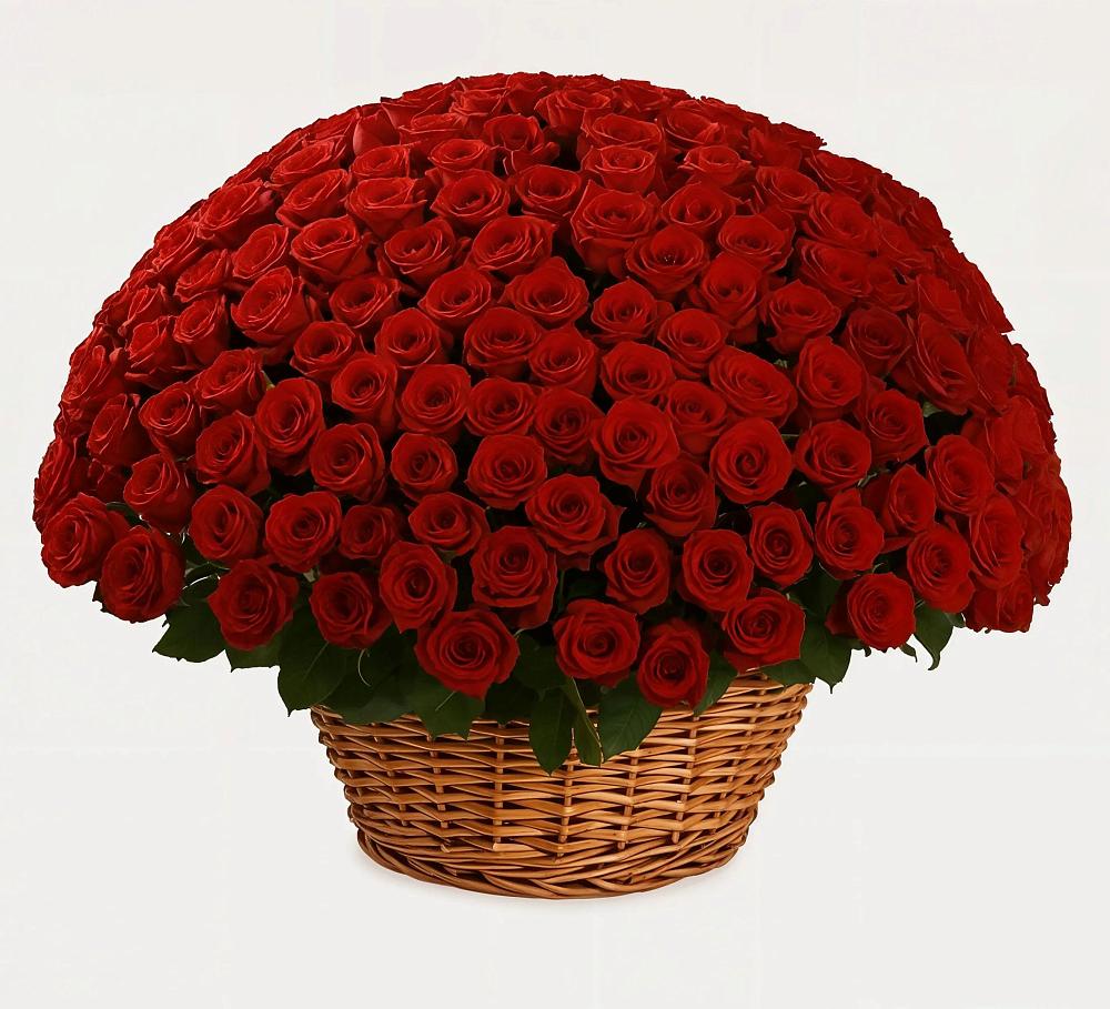 Премиум букет из: Розы в Западный