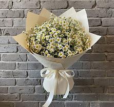 Букет цветов из:  Ромашки #REPLACE_PRED# Западный