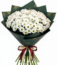 Букет цветов из:  Хризантемы #REPLACE_PRED# Западный