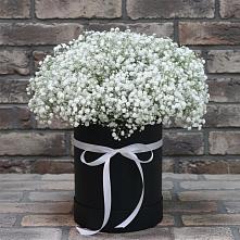 Цветочная композиция из Гипсофила в шляпной коробке #REPLACE_PRED# Западный