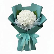 Букет цветов из:  Гортензия в Западный